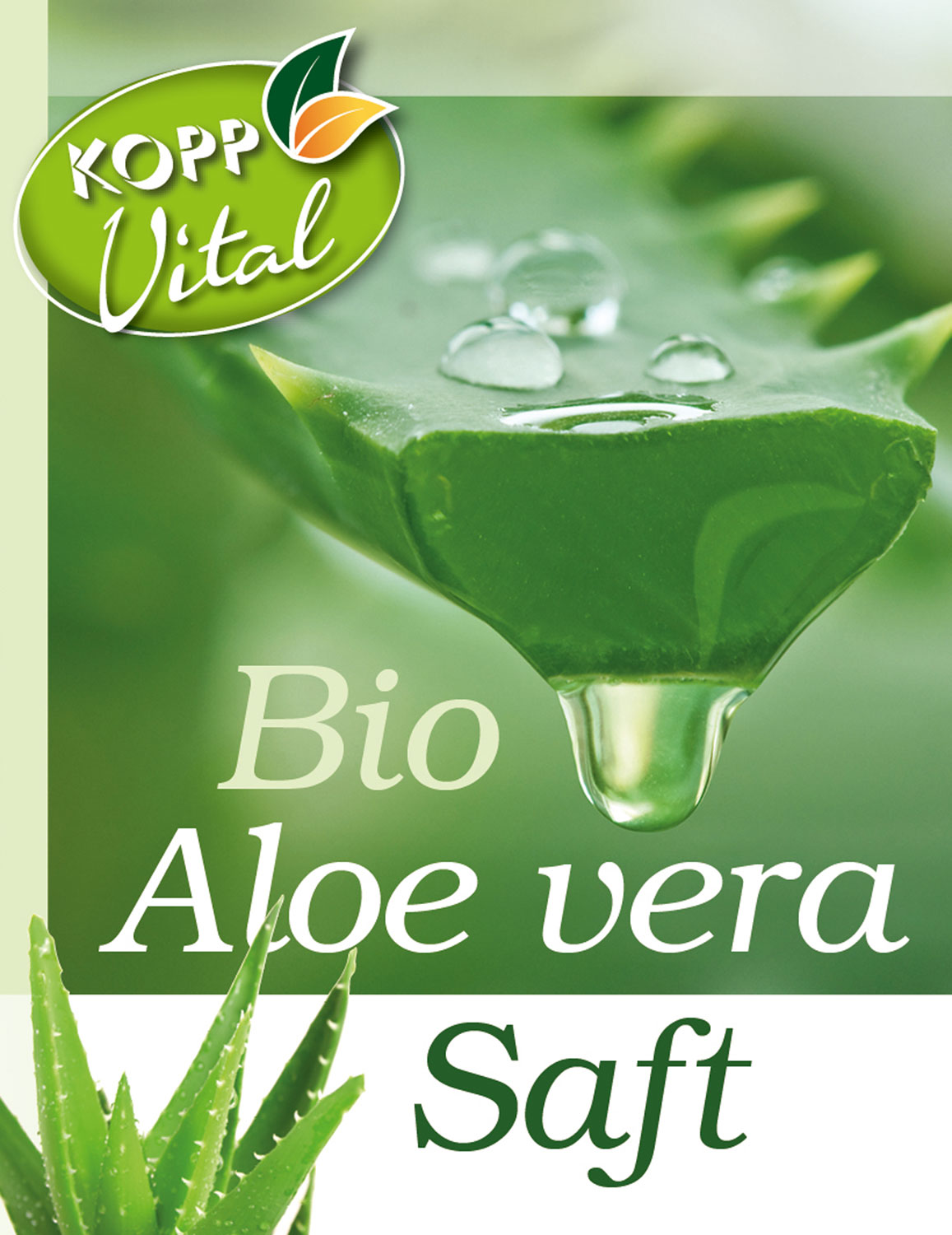 Kopp Vital Bio Aloe Vera Saft Aus Dem Innengel Frischer Aloe Vera