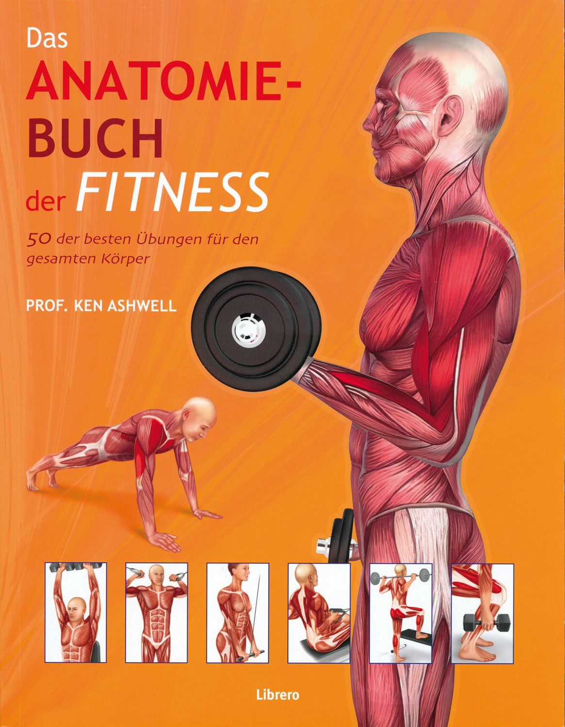 Das Anatomie-Buch der Fitness - Medizin & Gesundheit Bücher - Kopp Verlag