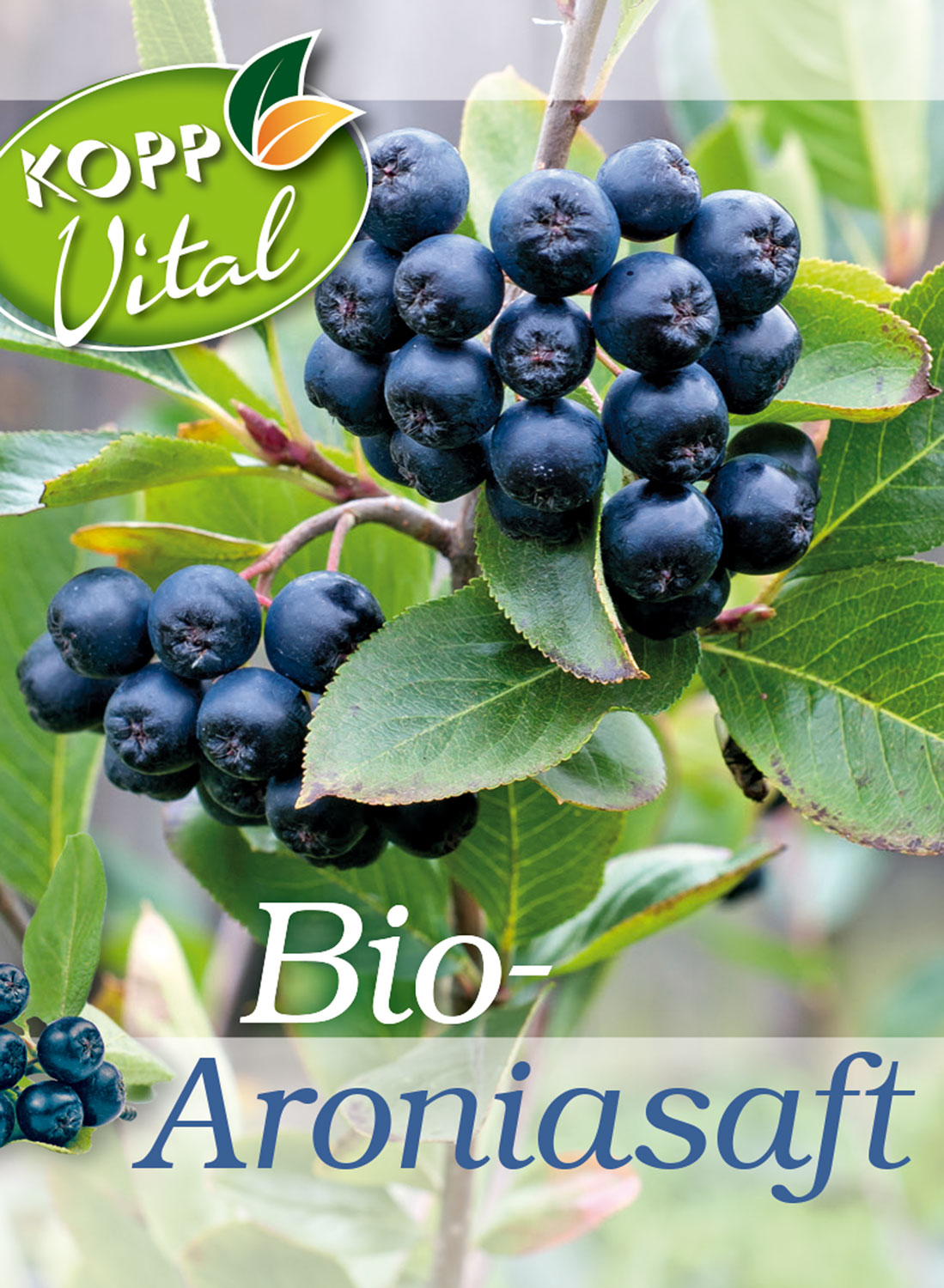 Kopp Vital   Bio-Aroniasaft01