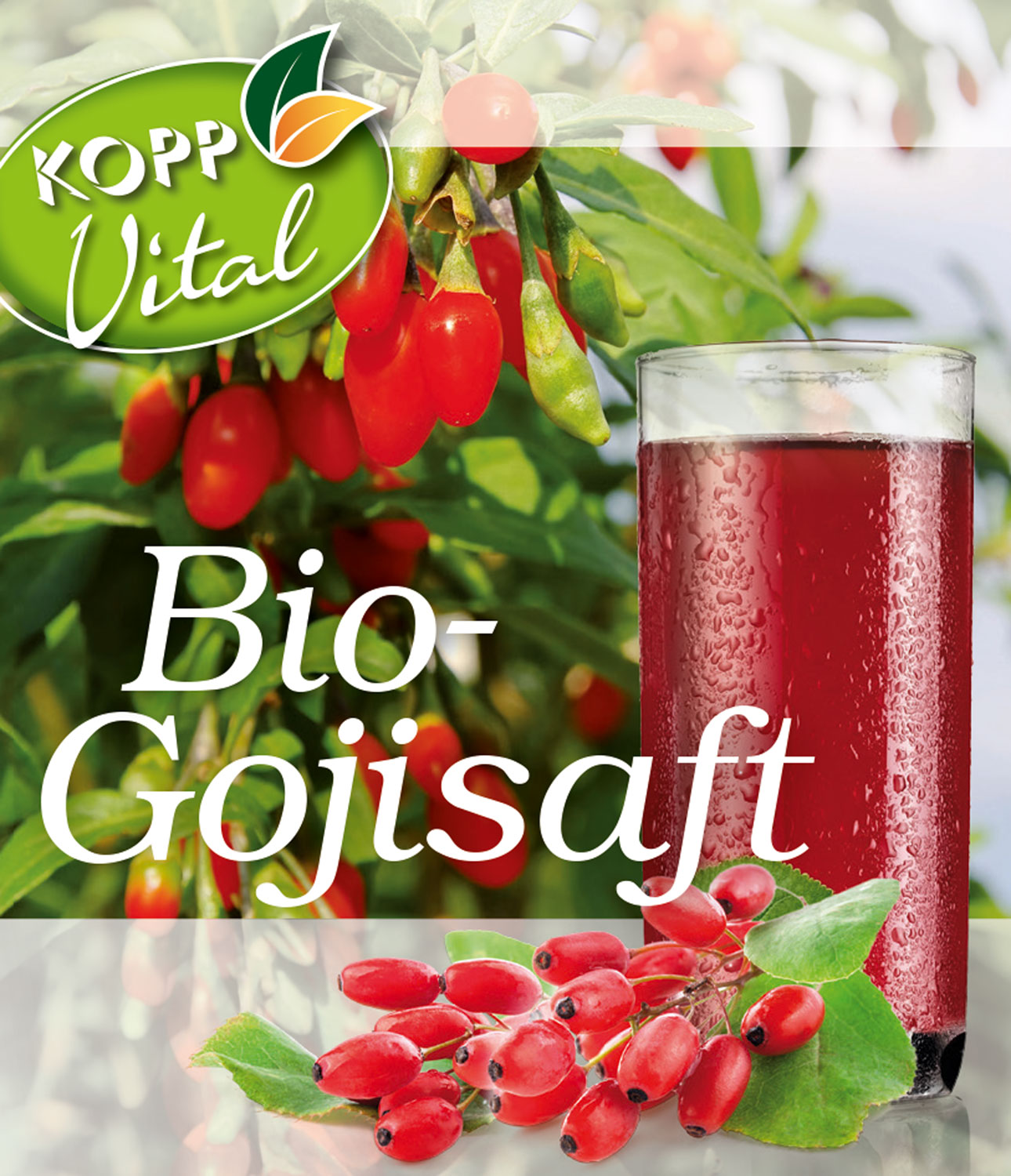 Kopp Vital   Bio-Gojisaft01