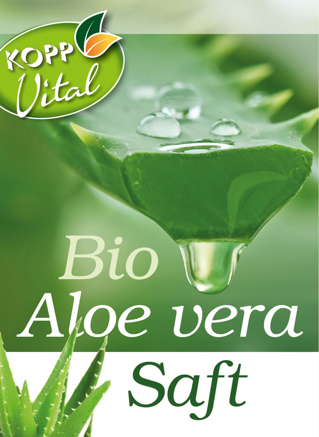 Kopp Vital   Bio-Aloe-vera-Saft aus dem Innengel frischer Aloe-vera-Pflanzen01