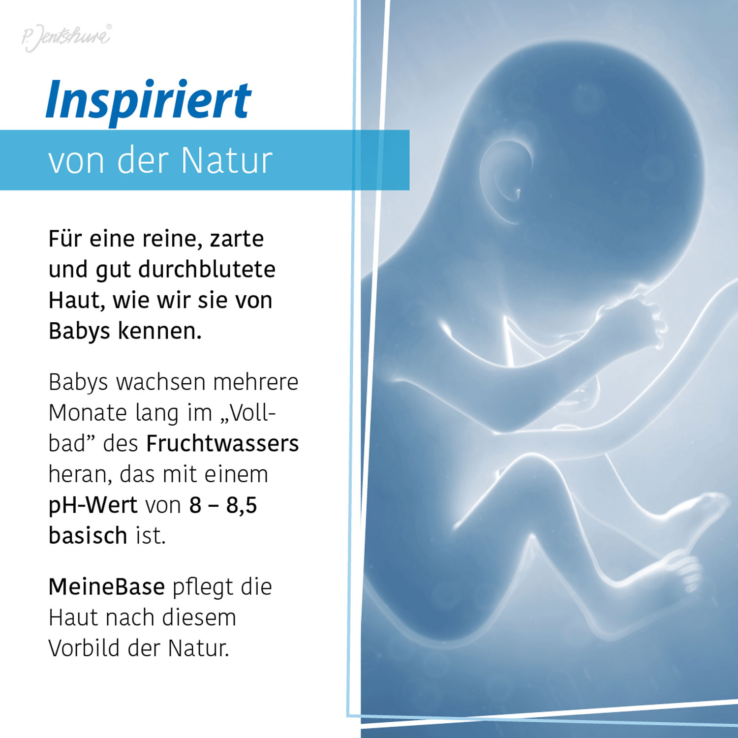 Jentschura  MeineBase mit 8 Edelsteinen - vegan02