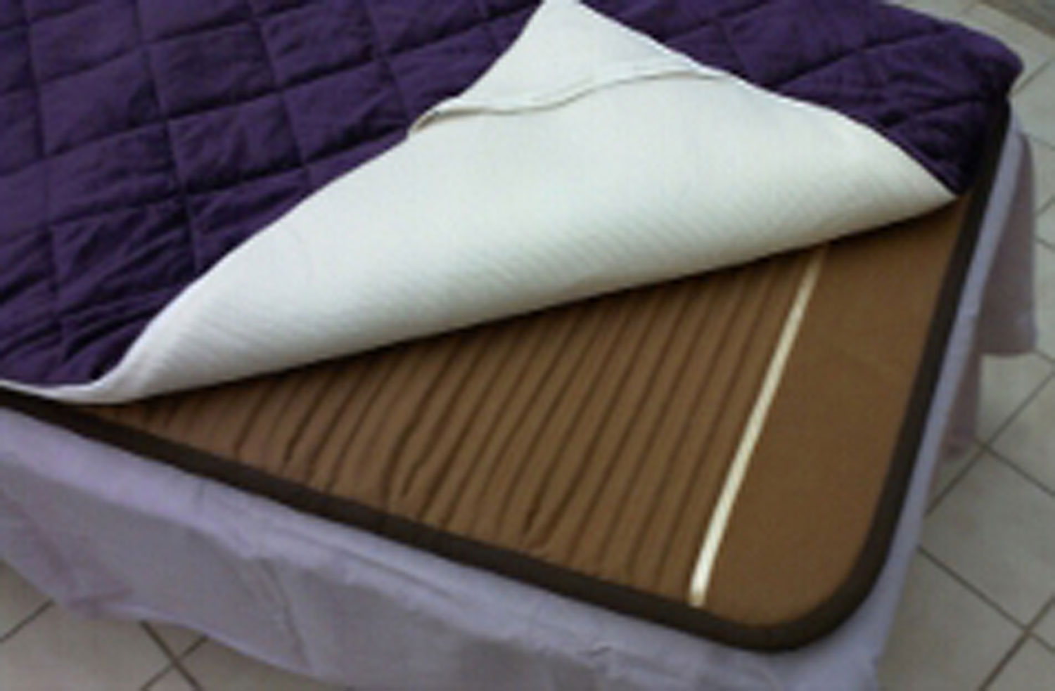 Quantum Energy Pad Professional01