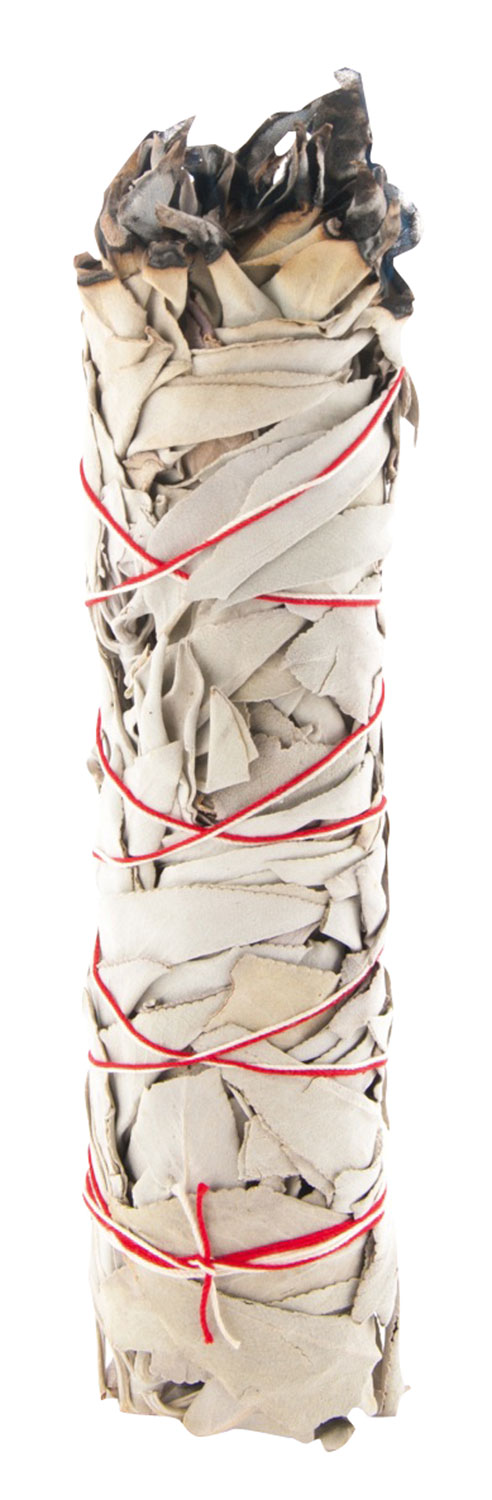 Weier Salbei – Original White Sage01