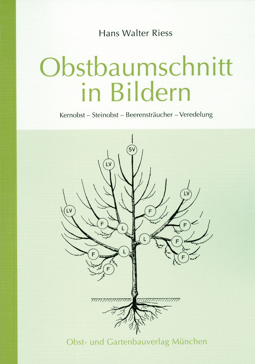 Obstbaumschnitt in Bildern Garten &amp; Ernte