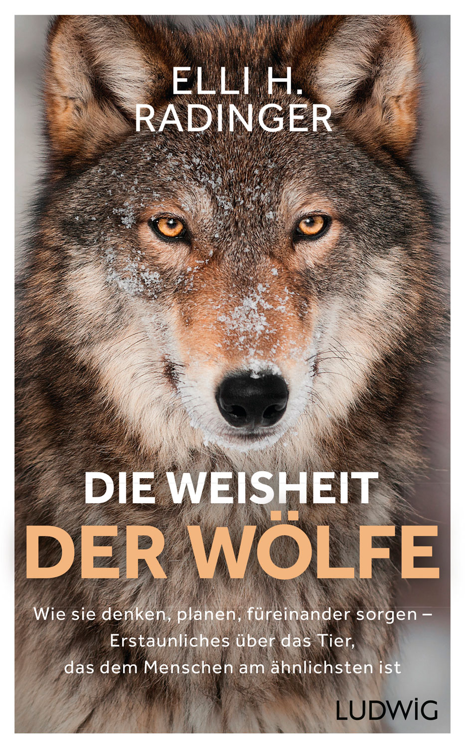 Die Weisheit der Wölfe Natur & Umwelt & Überleben