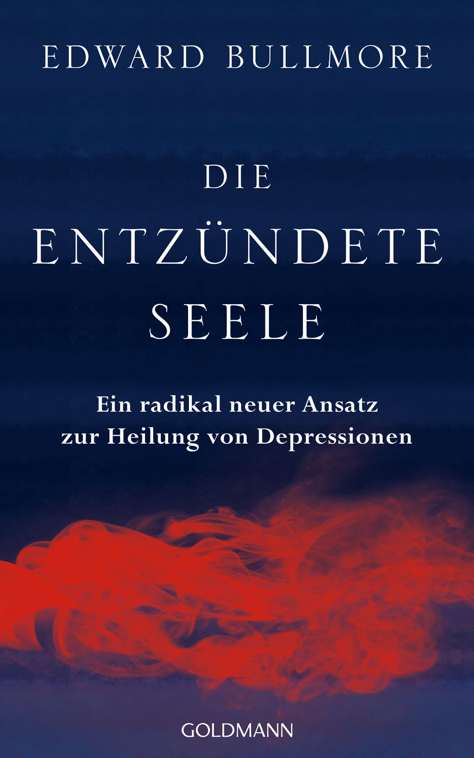Die entzndete Seele - Mngelartikel