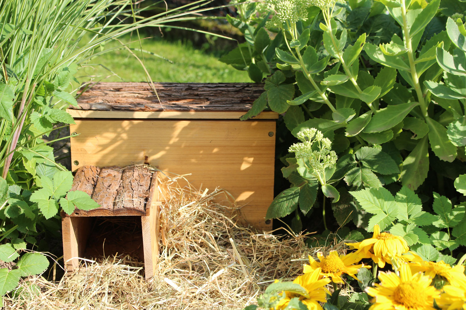 Igelhaus - Sehr gut01