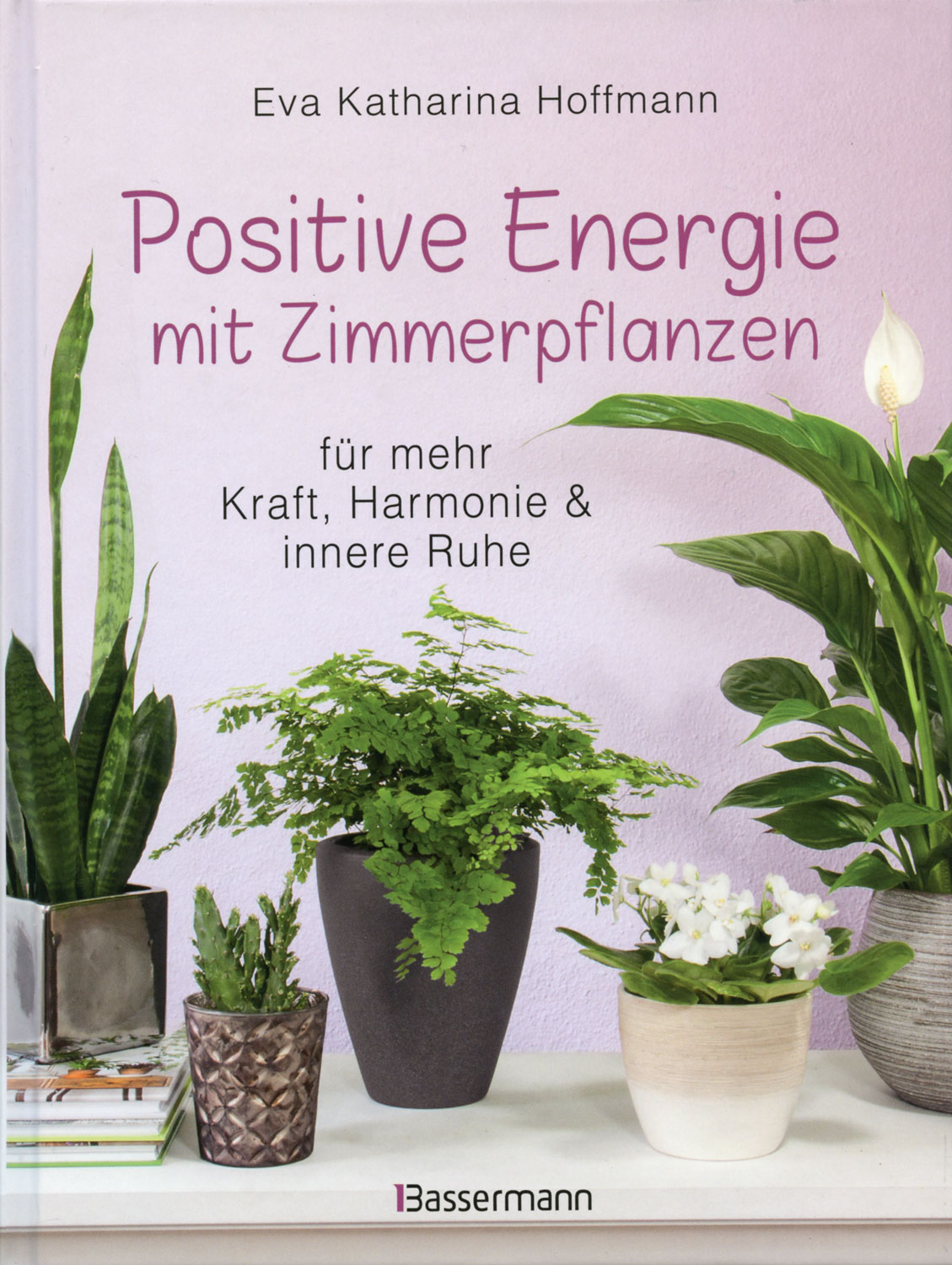 Positive Energie Ins Haus Bringen