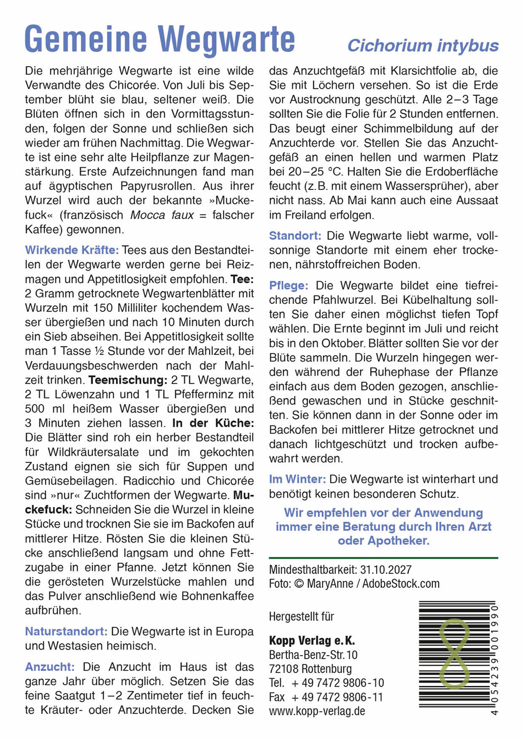 Gemeine Wegwarte - Mein Heilpflanzengarten01