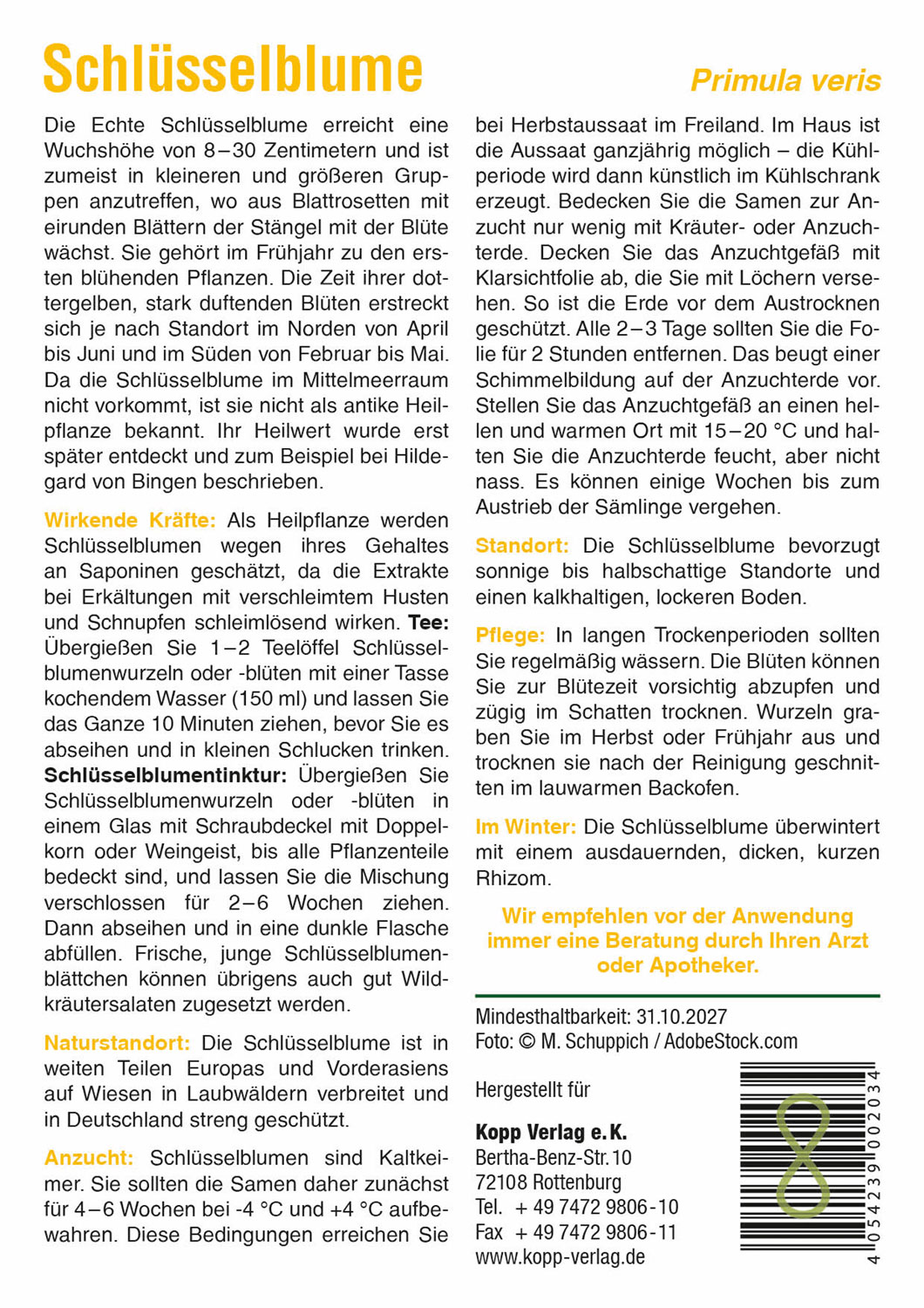 Schlsselblume - Mein Heilpflanzengarten01