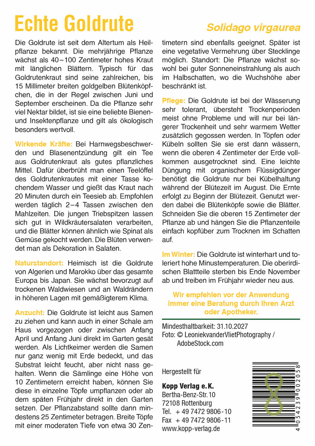 Echte Goldrute - Mein Heilpflanzengarten01