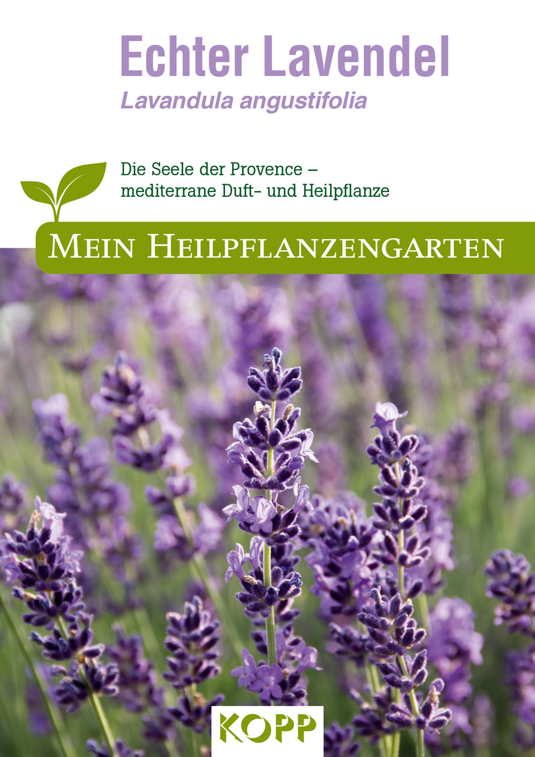 Echter Lavendel - Mein Heilpflanzengarten