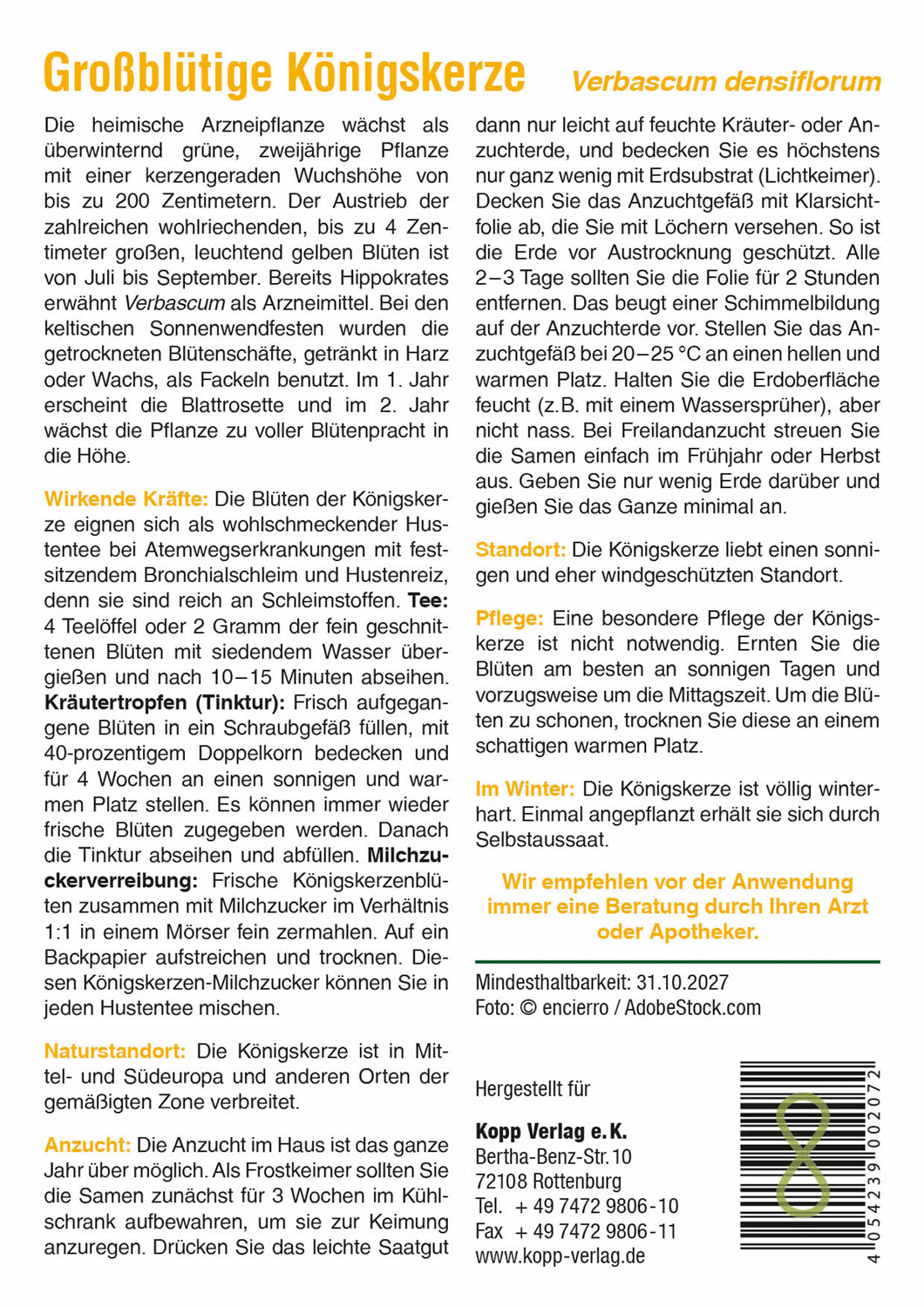 Grobltige Knigskerze - Mein Heilpflanzengarten01