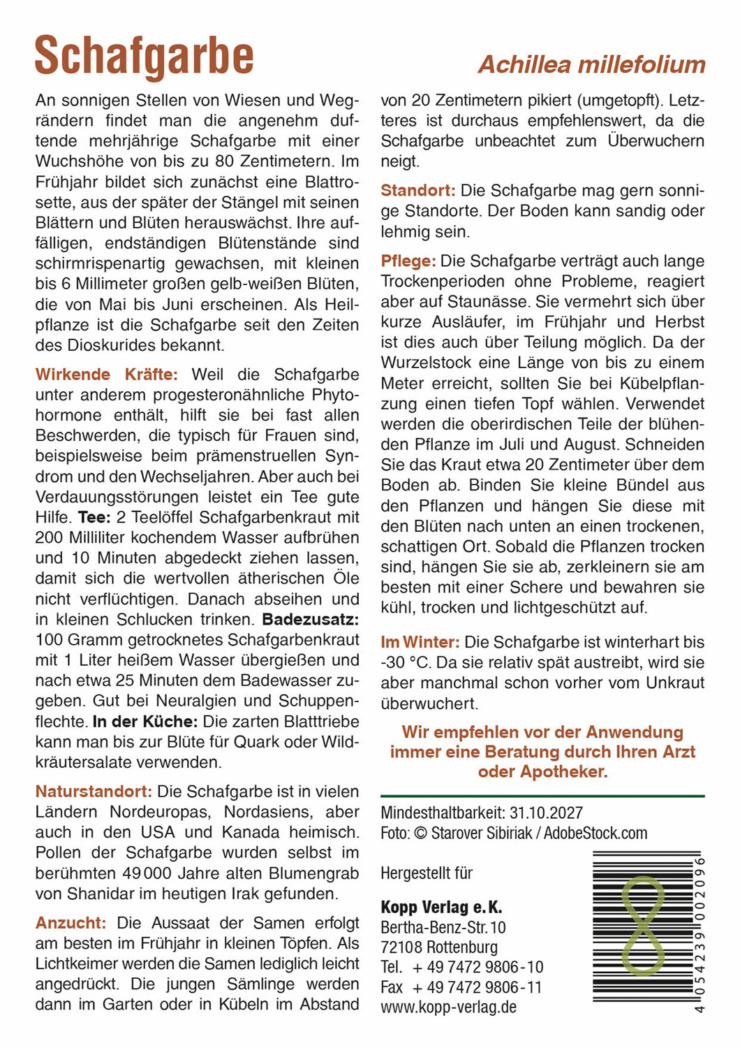 Schafgarbe - Mein Heilpflanzengarten01