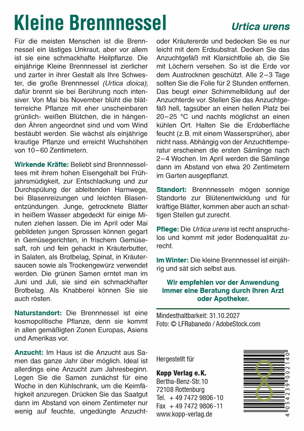 Kleine Brennnessel - Mein Heilpflanzengarten01