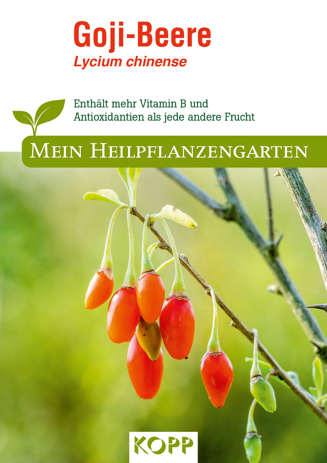 Goji-Beere - Mein Heilpflanzengarten