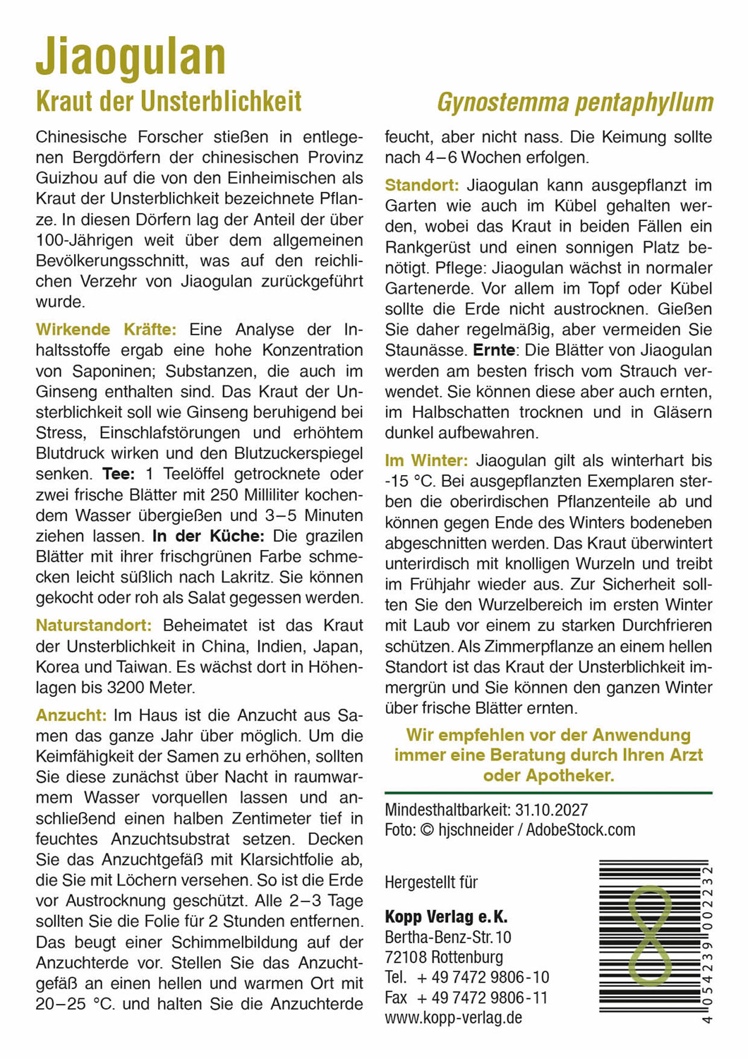 Kraut der Unsterblichkeit Jiaogulan - Mein Heilpflanzengarten01