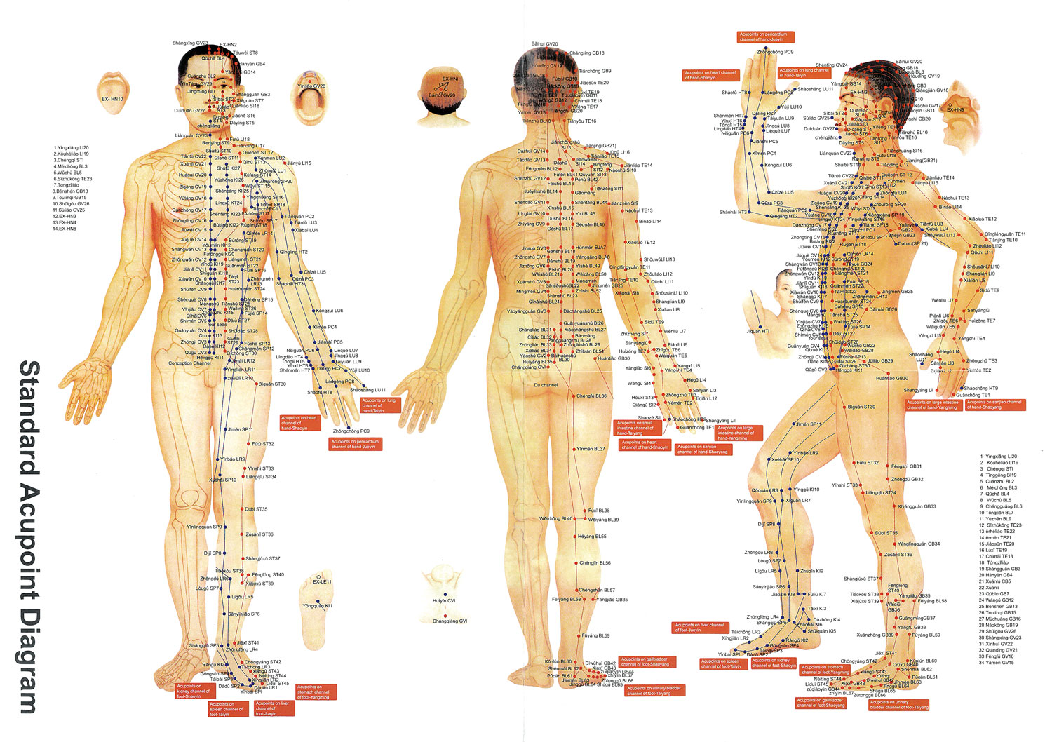 Hwa To Deluxe Schrpfkopf-Set03