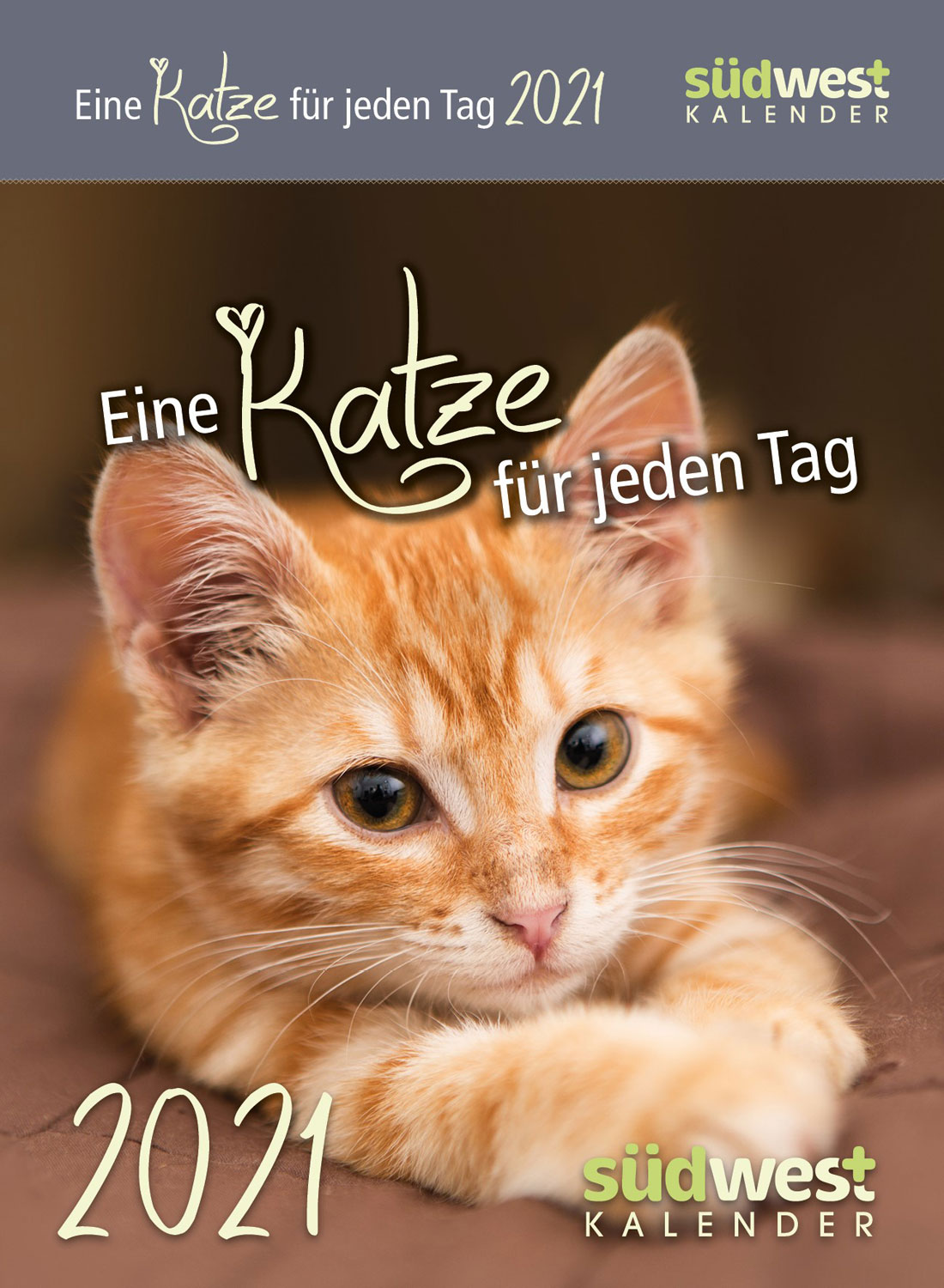  Eine  Katze f r jeden Tag  2022 Erfolg Lebenskunst 