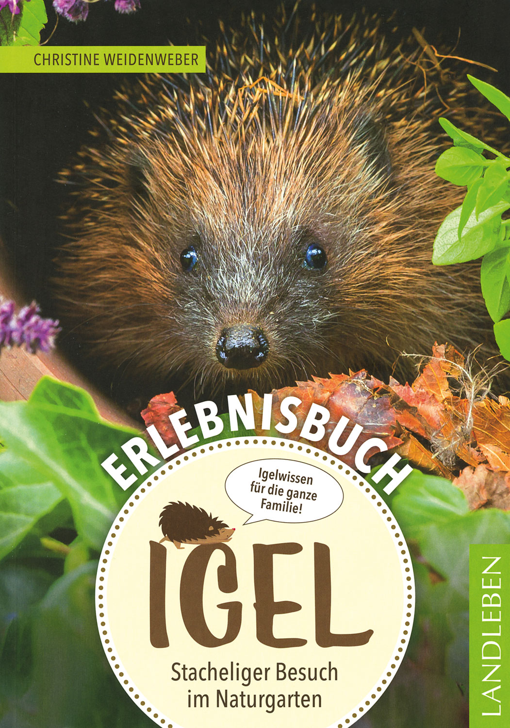 Erlebnisbuch Igel