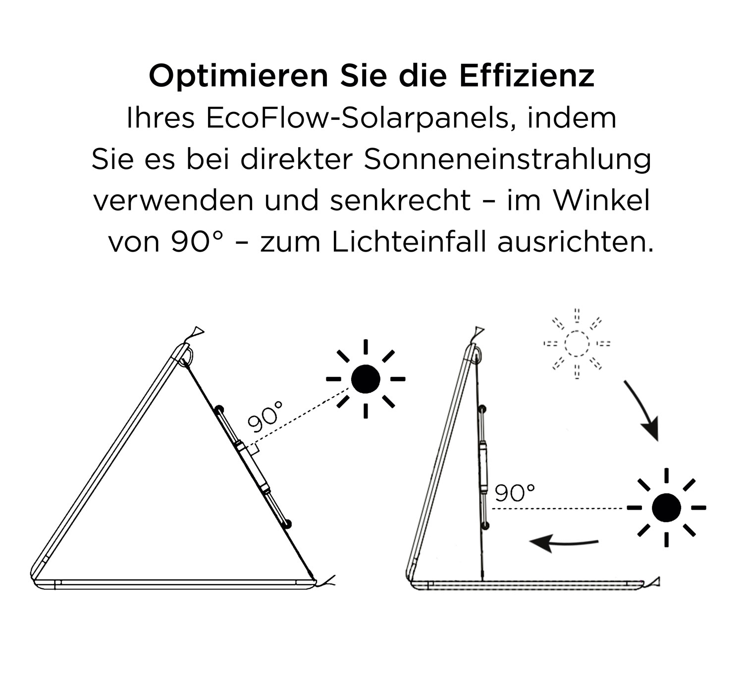 EcoFlow Solarpanel 160 W03