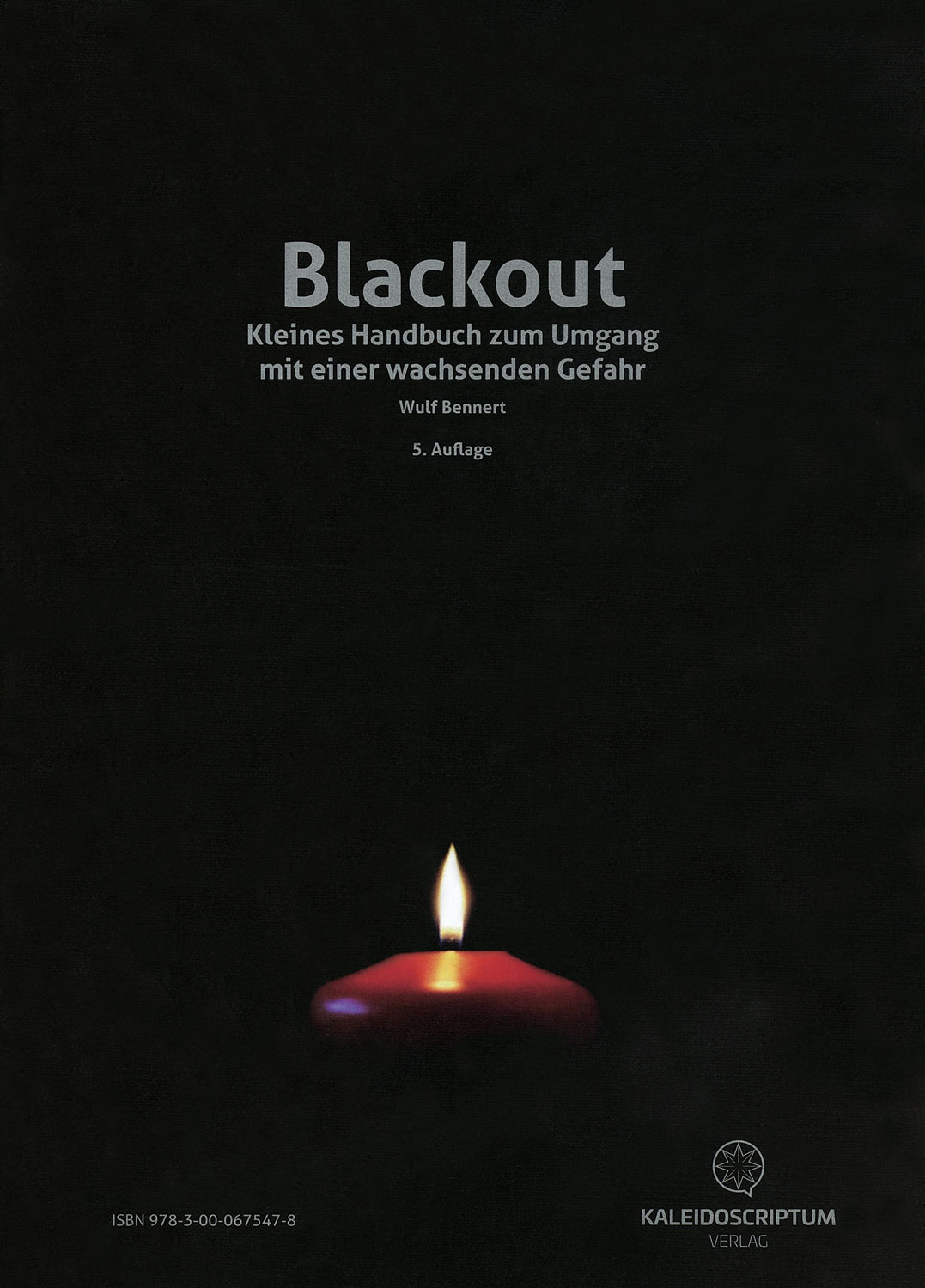 Blackout - Kleines Handbuch zum Umgang mit einer wachsenden Gefahr