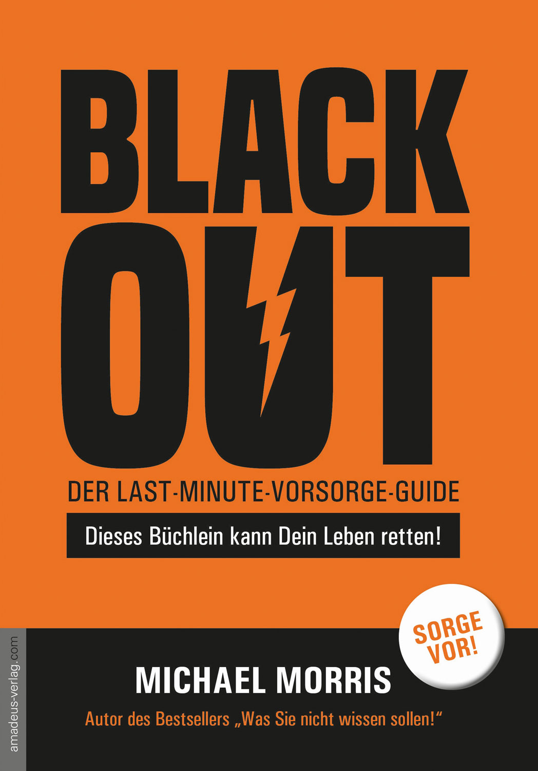 Blackout - Der last-minute-Vorsorge-Guide - Überleben in der Krise