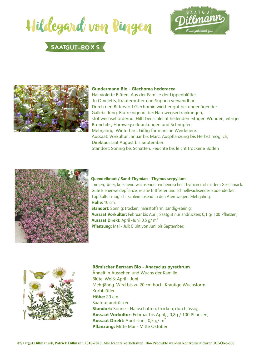 Hildegard von Bingen Saatgut-Box S03