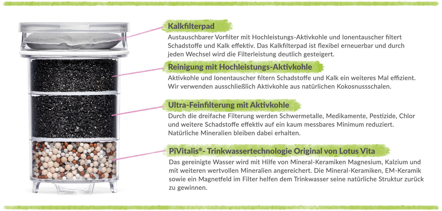 Lotus Vita Glas-Filterkanne ENYA mit Bambusdeckel und edlem Griff03