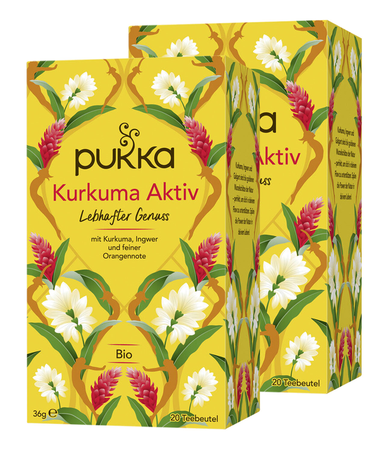Pukka Bio-Krutertee Lebhafter Genuss