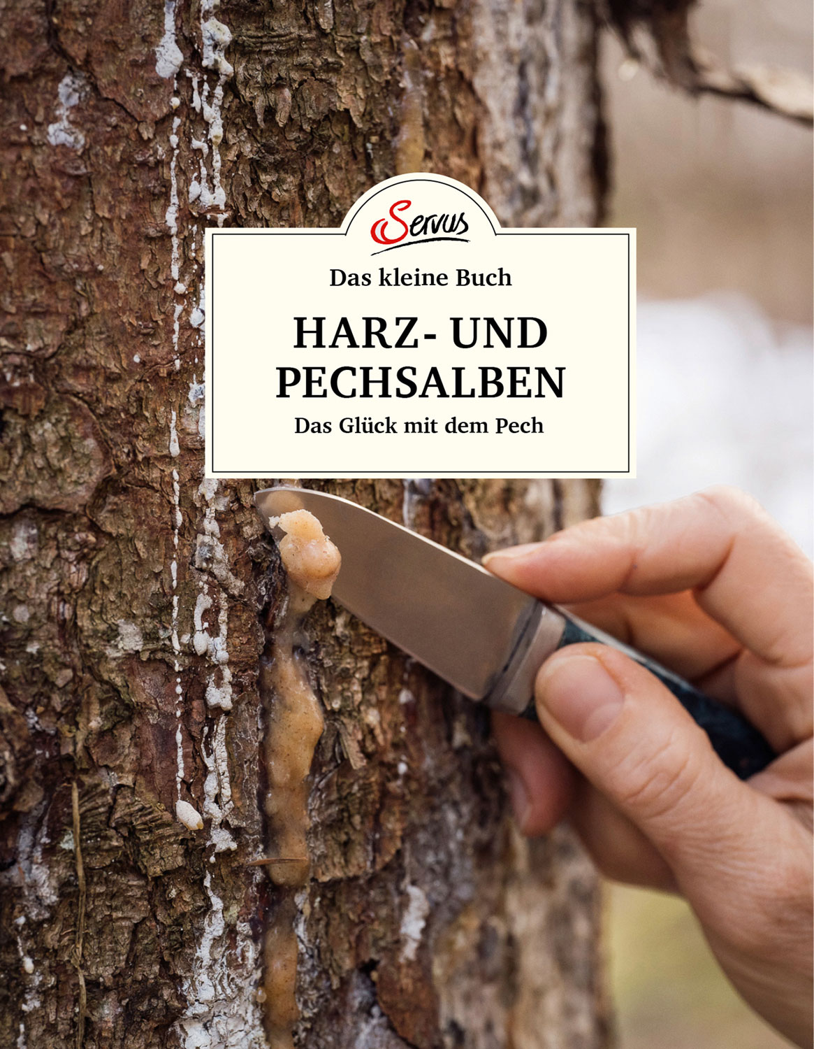 Das kleine Buch Harz- und Pechsalben