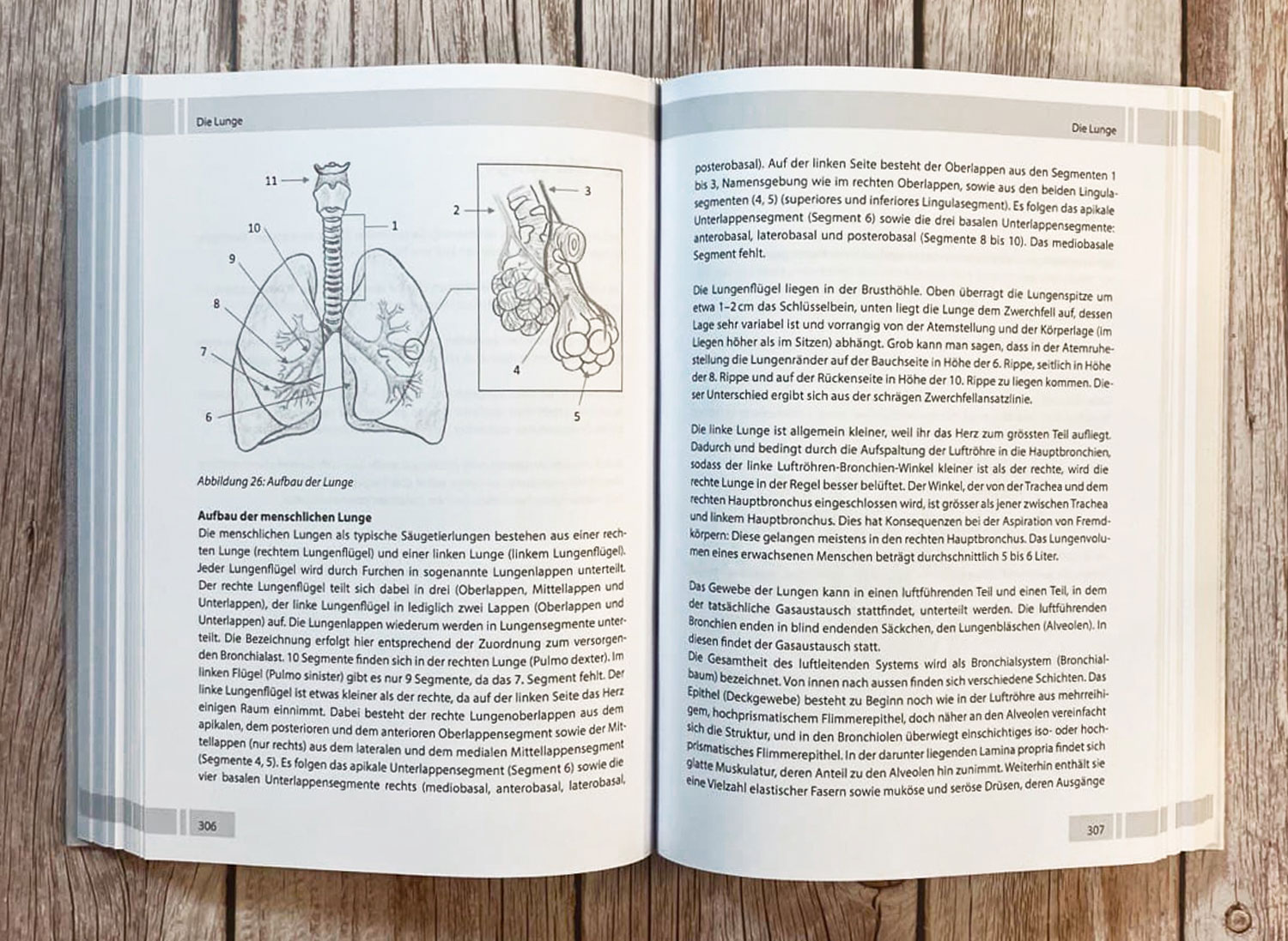 Die Wahrheit �ber das Rauchen07