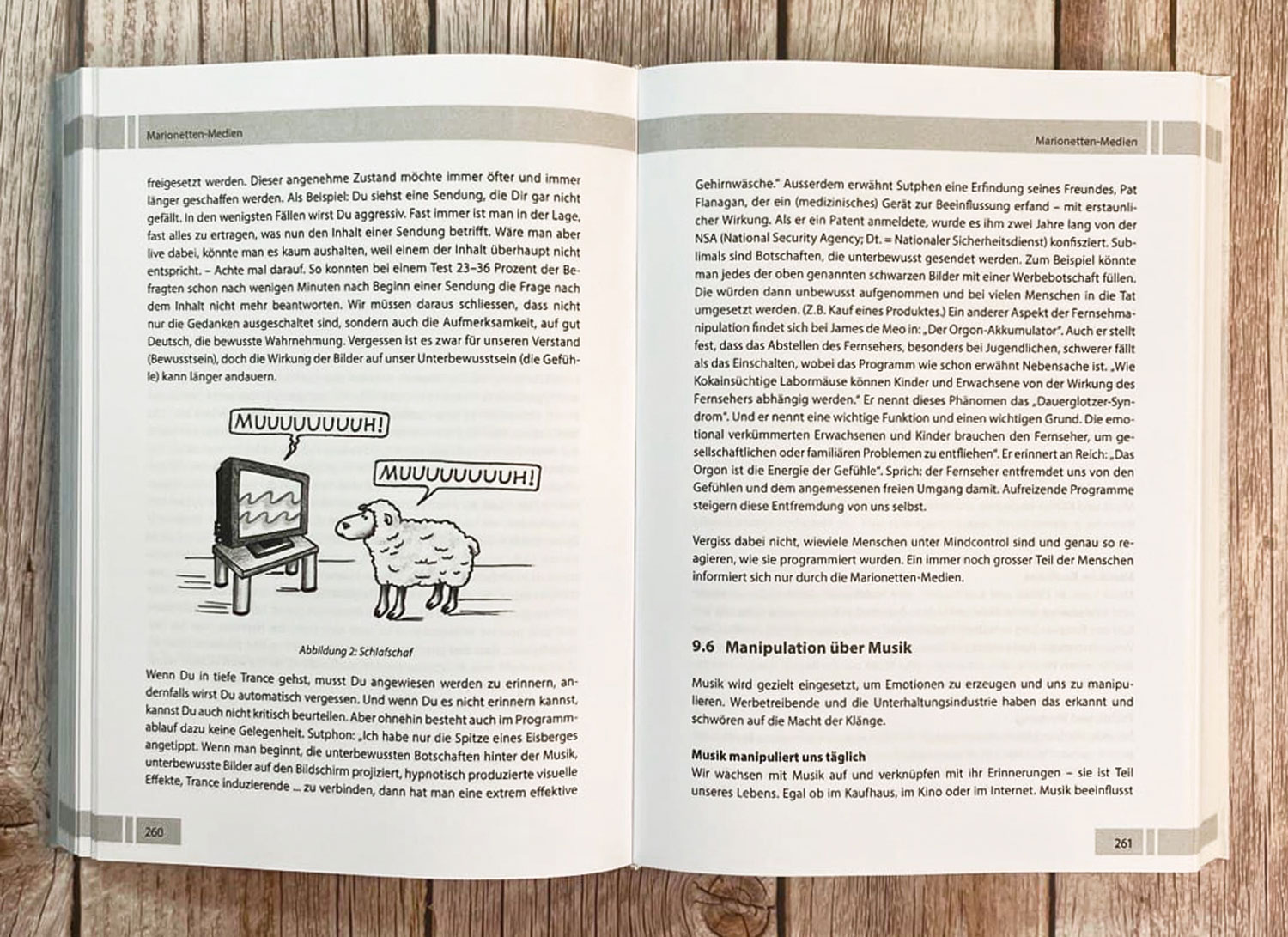 Die Macht der Manipulation03