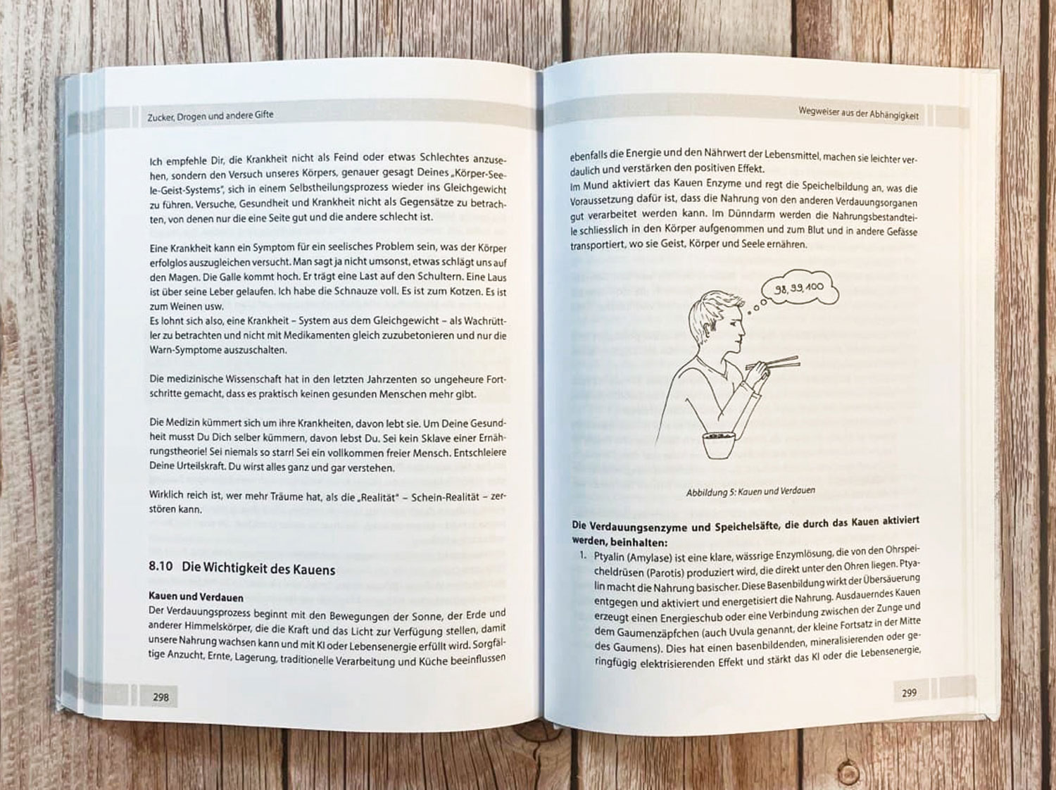 Die groe Zucker-Vergiftung - Mngelartikel04