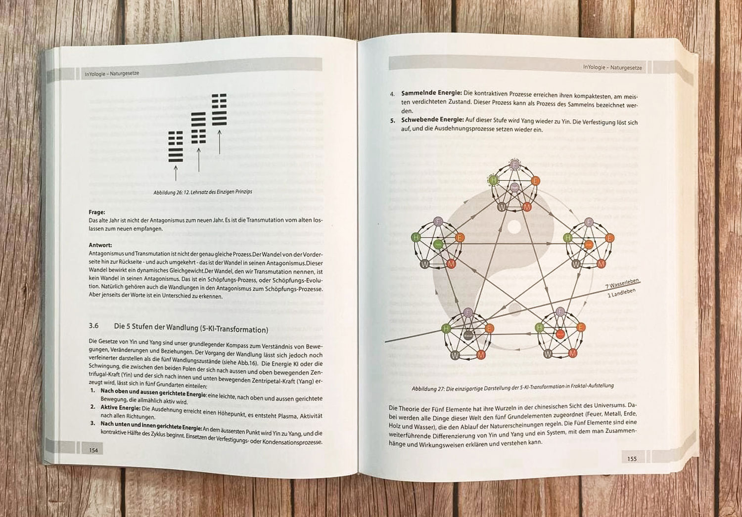 InYologie - Mngelartikel03