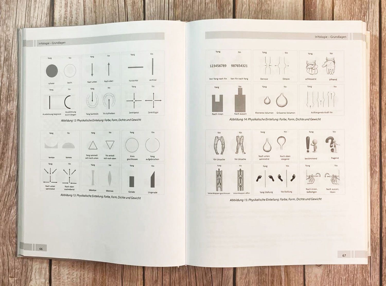 InYologie - Mngelartikel05