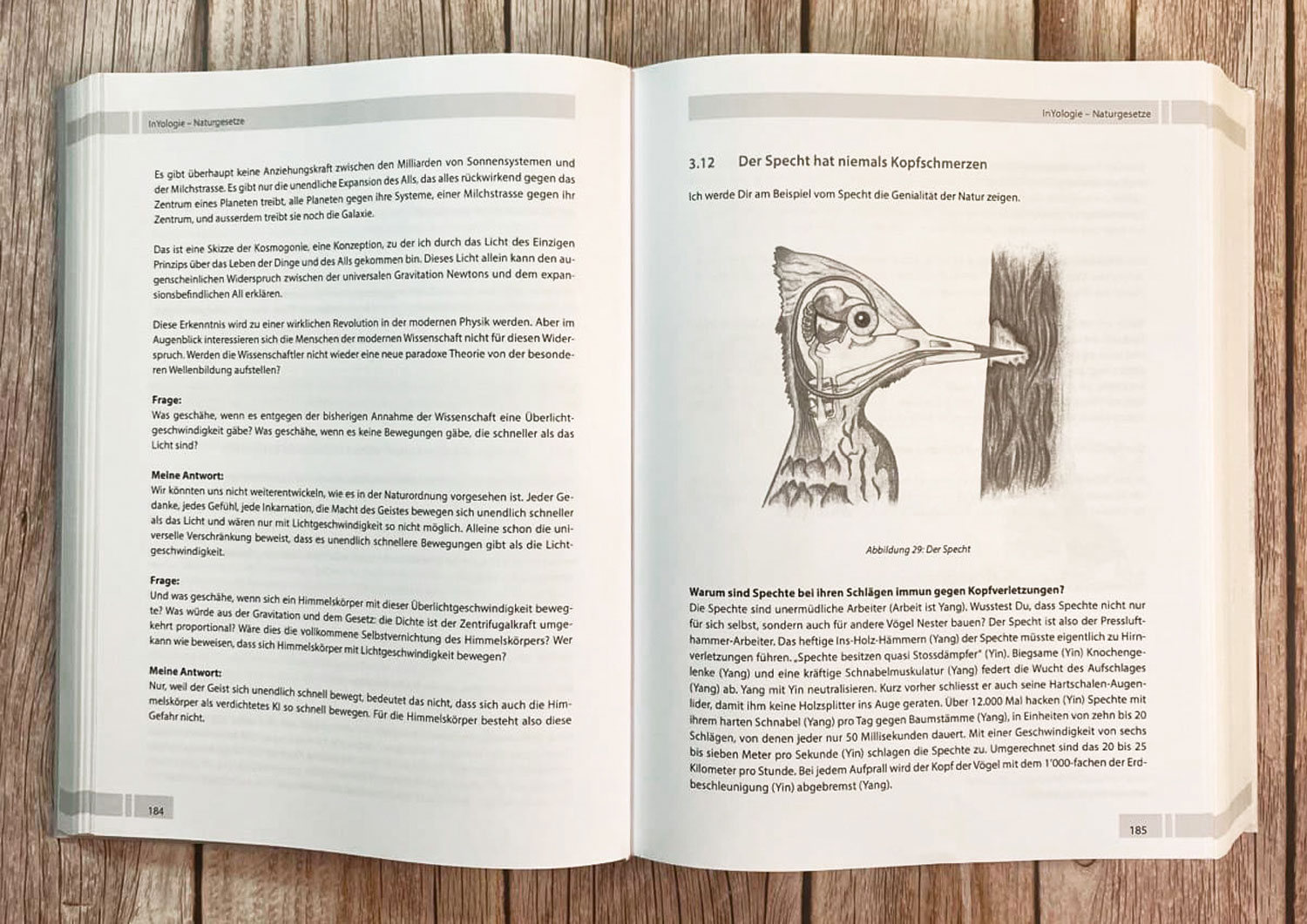 InYologie - Mngelartikel06