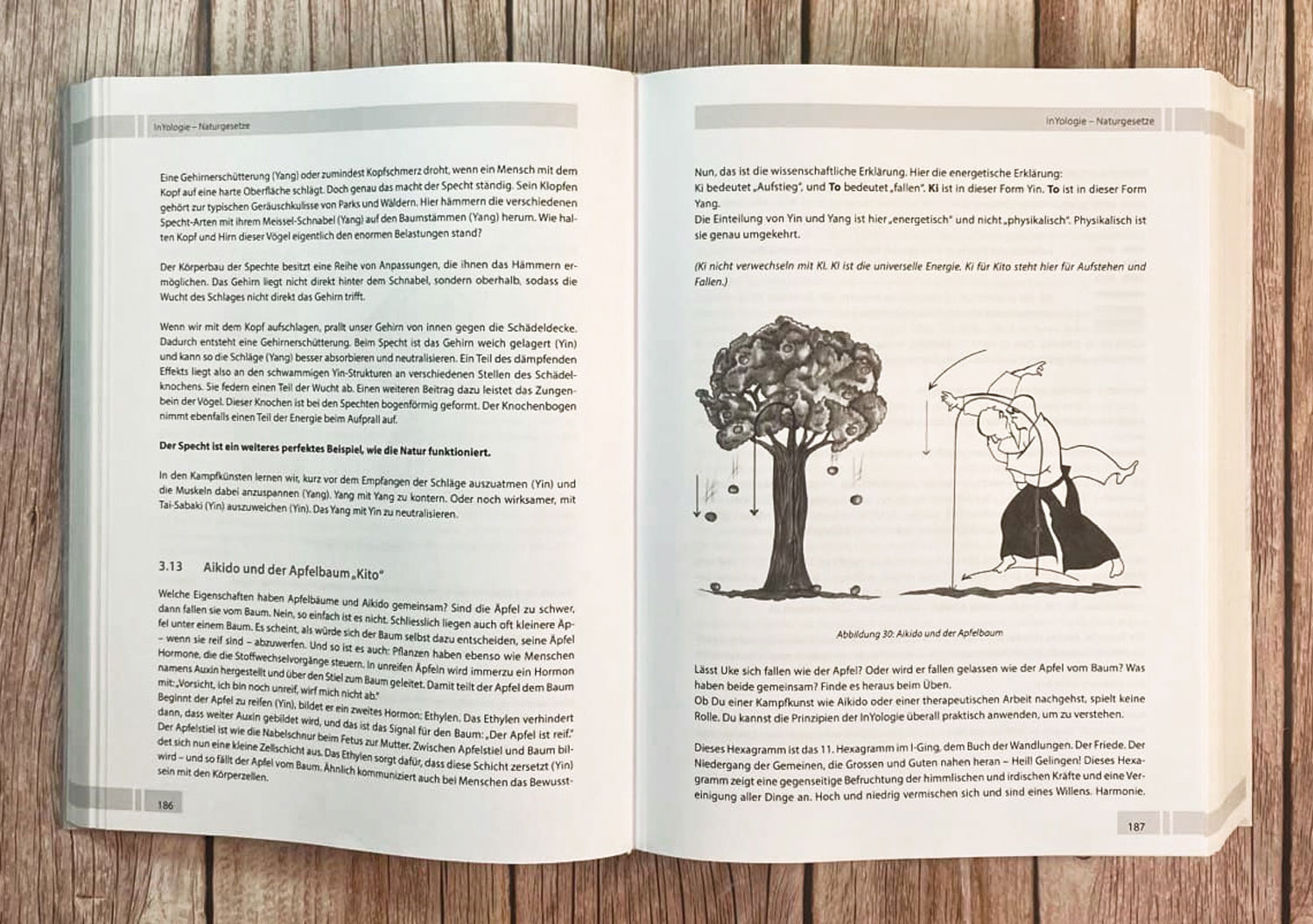 InYologie - Mngelartikel07