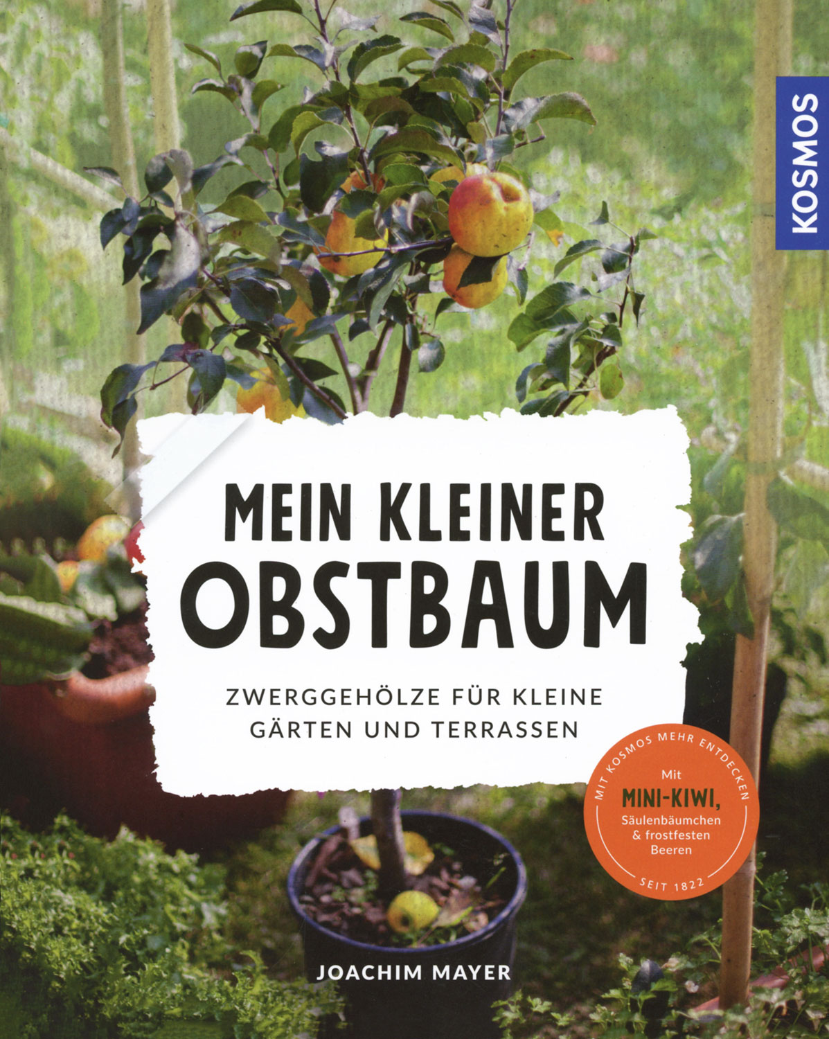 Mein kleiner Obstbaum