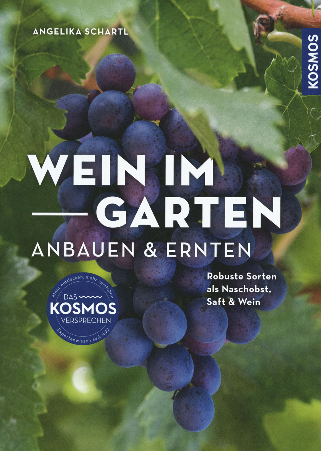 Wein im Garten anbauen & ernten Garten & Ernte