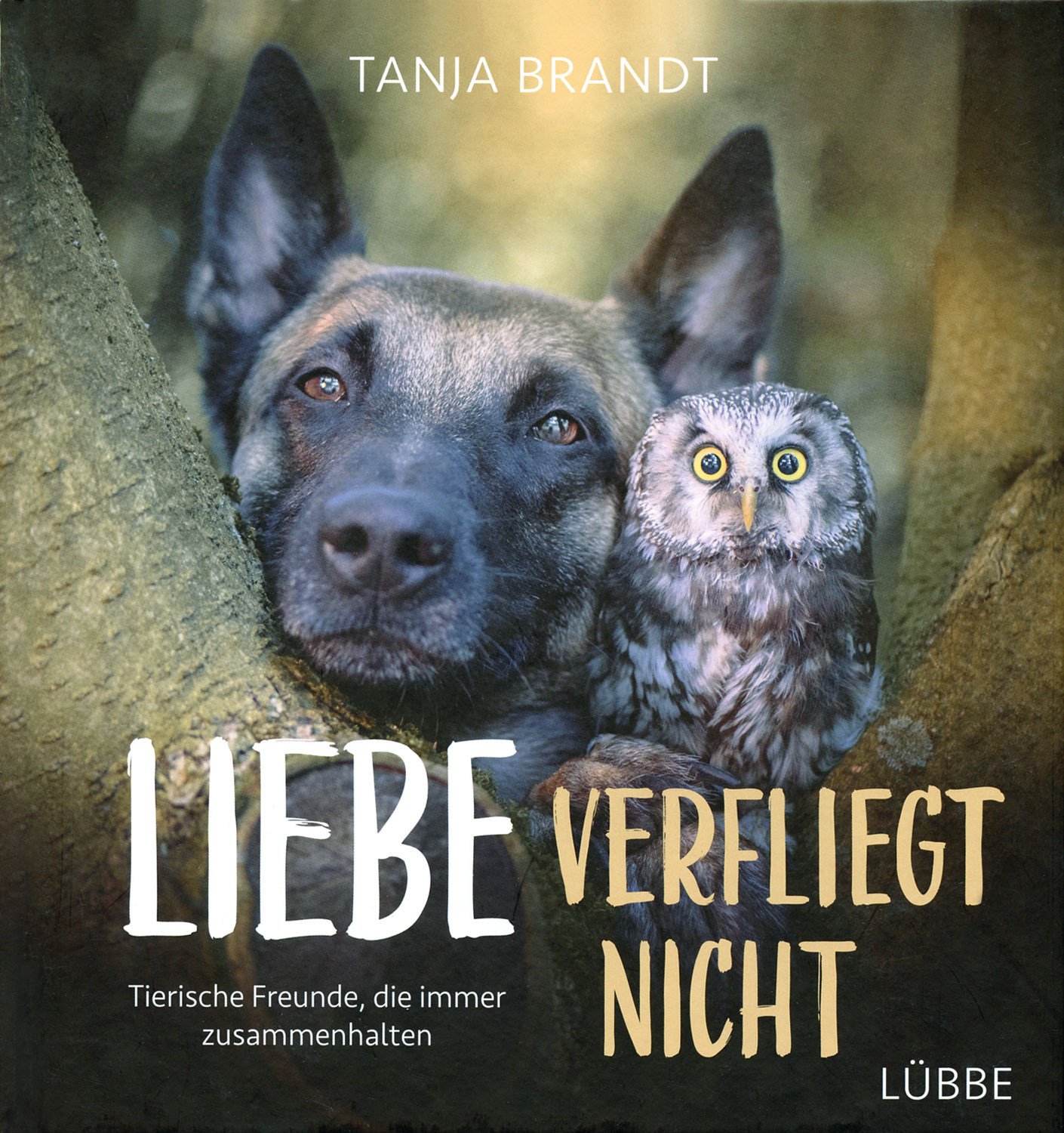 Liebe verfliegt nicht