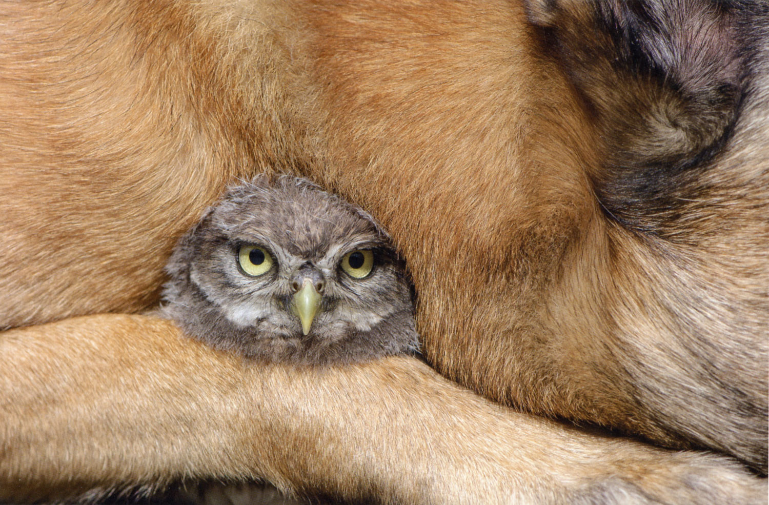 Liebe verfliegt nicht01