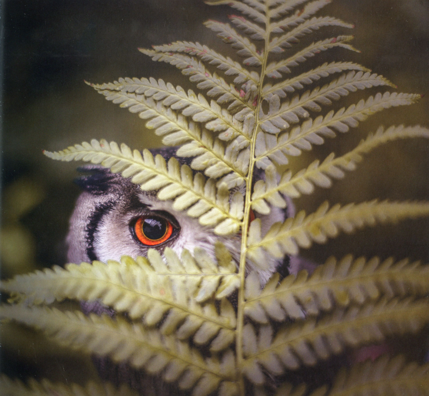 Liebe verfliegt nicht02