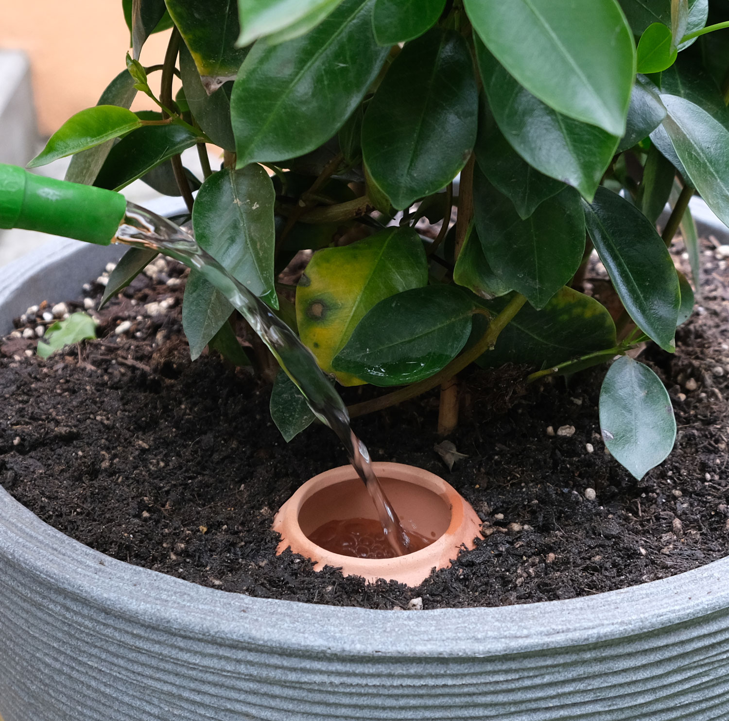 2er-Pack Bewsserungshilfe02