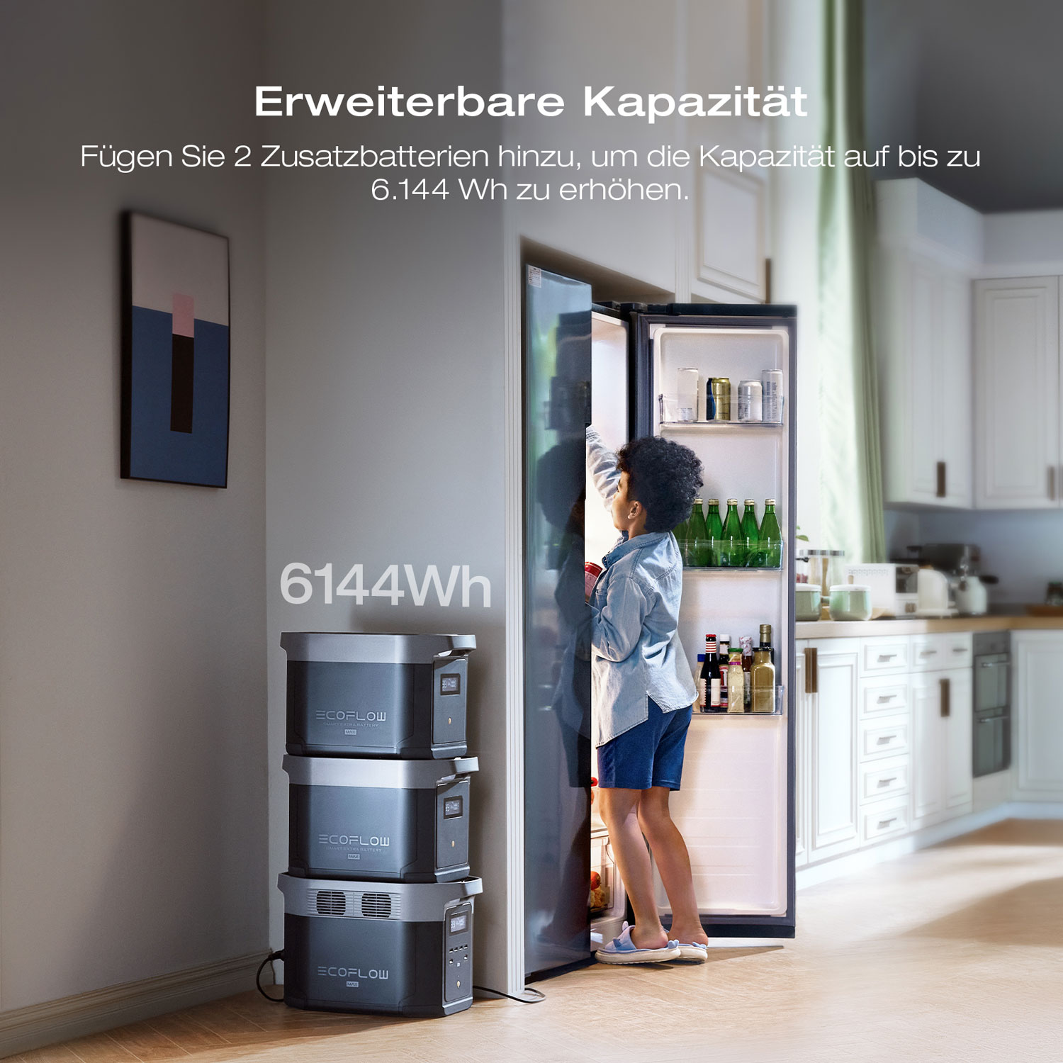 EcoFlow DELTA 2 Max Powerstation 2048 Wh ohne Solarpanel - Wie neu04