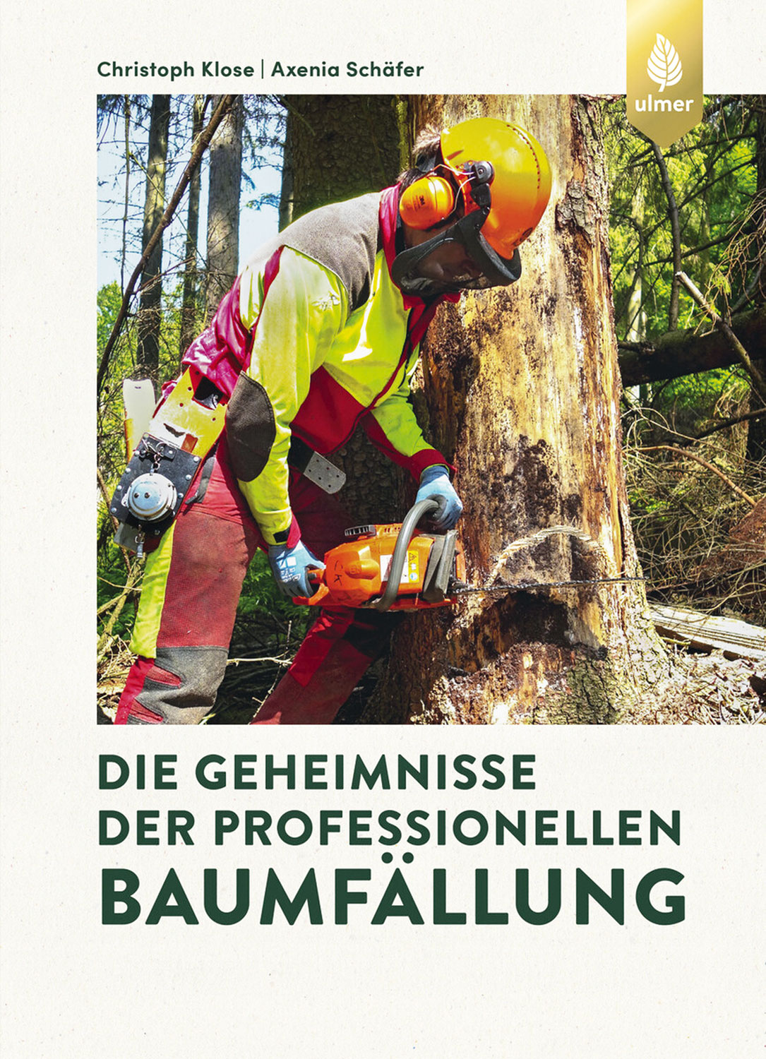 Die Geheimnisse der professionellen Baumfllung