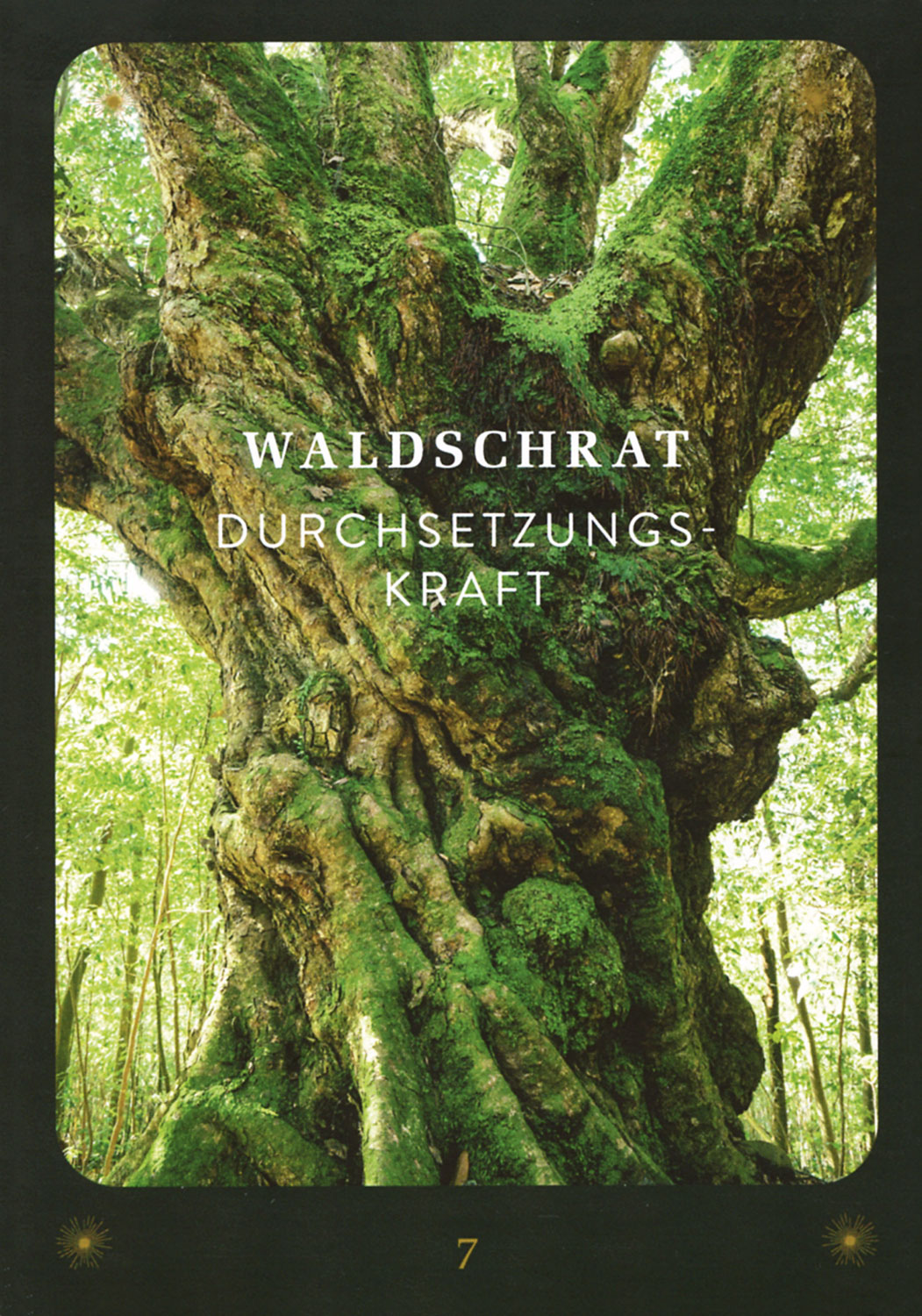  Das Wunder der Rauhnchte 03