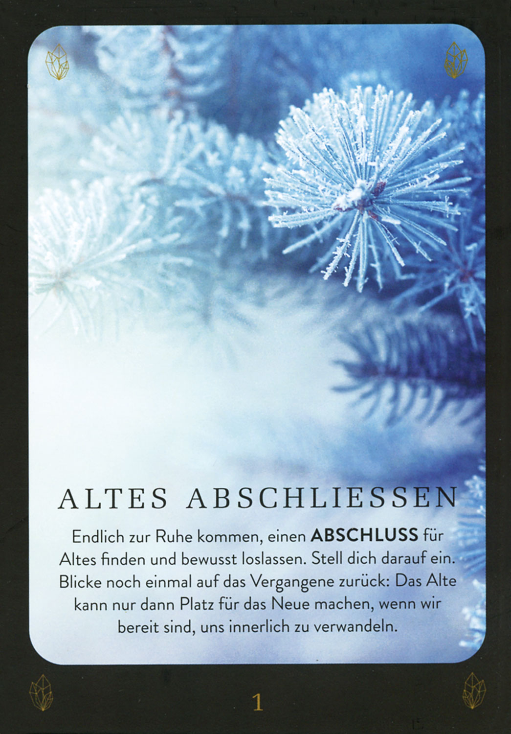  Das Wunder der Rauhnchte 04