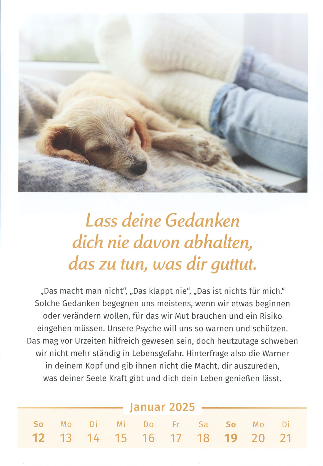 Der Lebensfreude-Kalender 2025 - Mngelartikel01